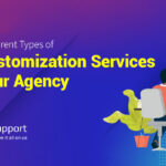 Exploring Different Types of LMS Customization Services Offered by Our Agency