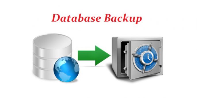 WordPress Security Software
