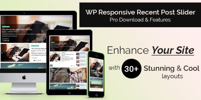 WordPress Plugin Update