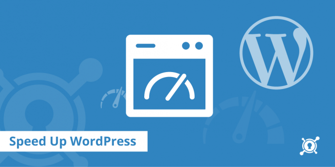 WordPress website