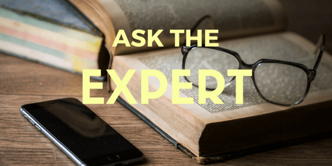 best wordpress support