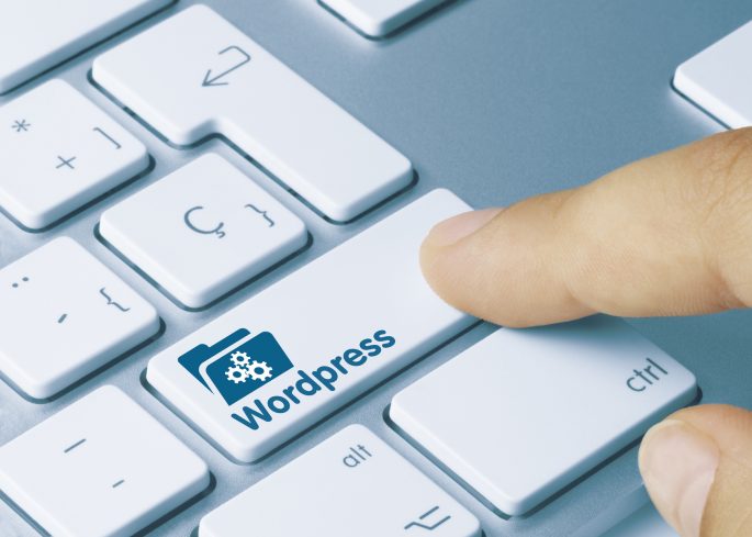 best ecommerrce wordpress themes